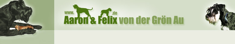 Aaron von der Grön Au